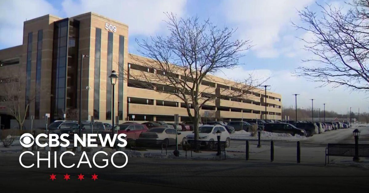 2 teens plead not guilty to sexually assaulting St. Viator High School classmate