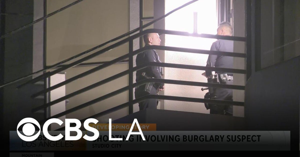 Studio City resident fired shots at a burglary suspect - CBS Los Angeles