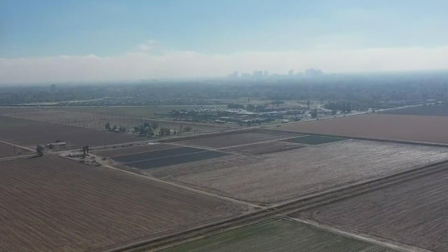 sacramento-farmland-drone-view.jpg 
