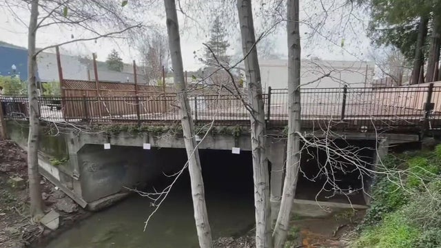 A bridge built over a creek 