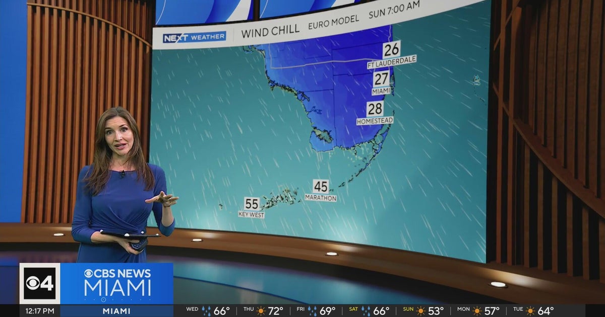 South Florida bracing for potentially record-breaking cold temperatures ...