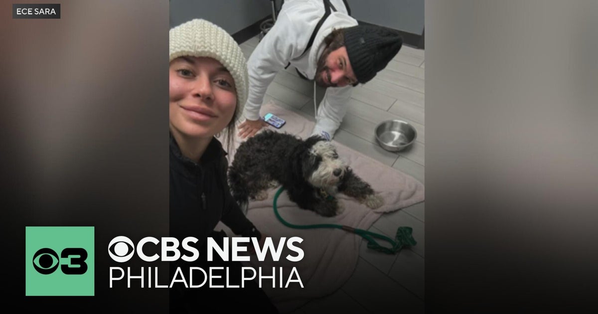 Thermal drone pilot tracks down Benji, the Fishtown dog who went missing right before the snowstorm