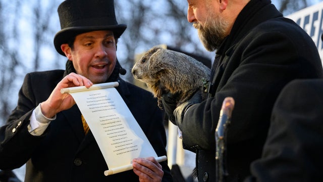 Punxsutawney Phil Shares Winter/Spring Prediction On Groundhog's Day 