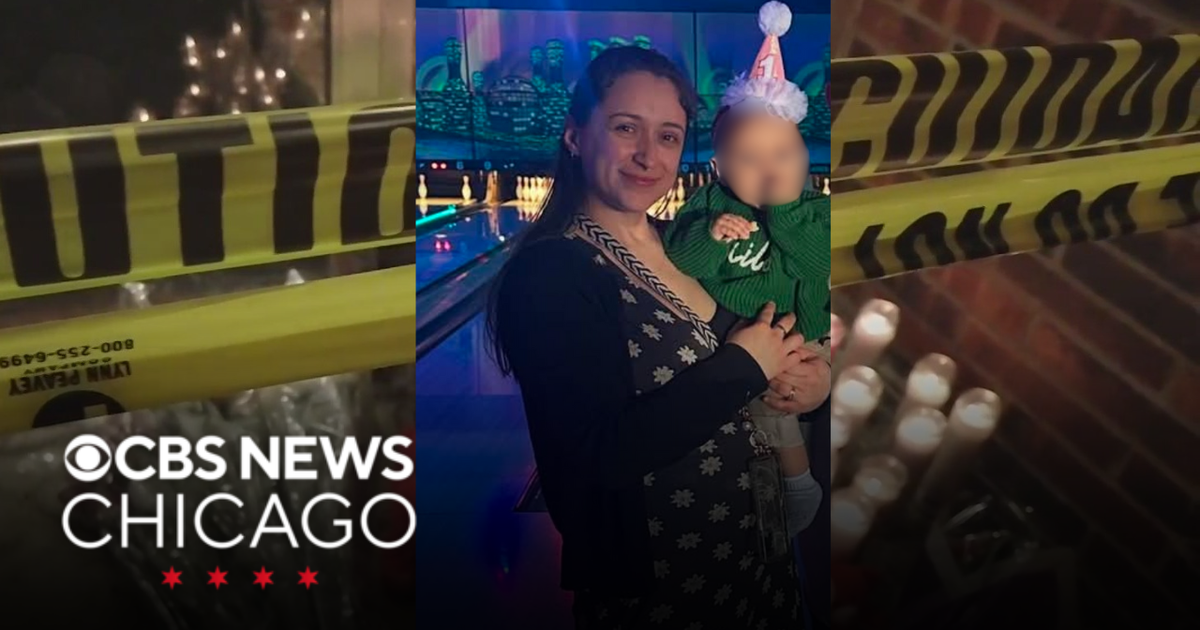 Vigil held for pregnant woman stabbed, killed during dispute in Downers ...