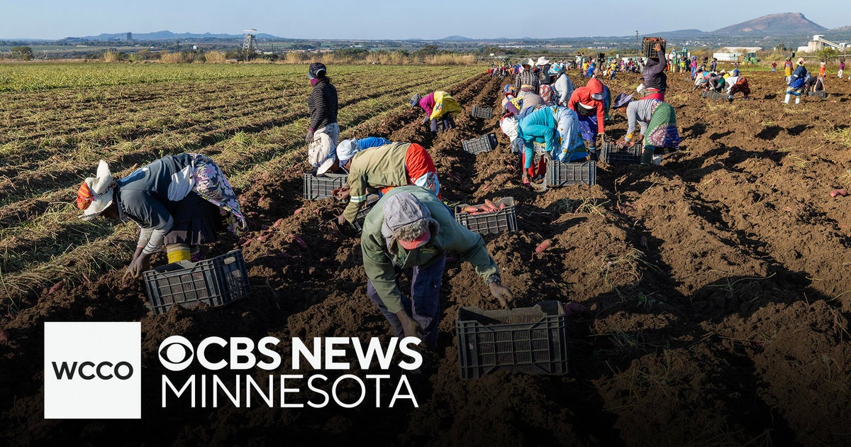 Minnesota farm communities say ICE surge "is going to be very damaging" for business this year