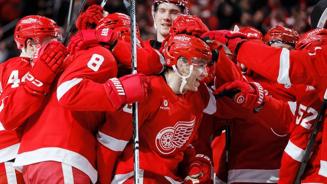 APTOPIX Capitals Red Wings Hockey 