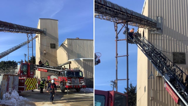 Baltimore County sand hopper rescue 