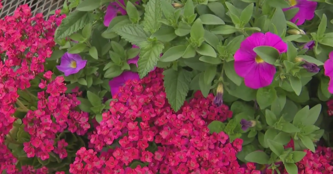 South Florida outdoor workers brace for cold, hypothermia risks