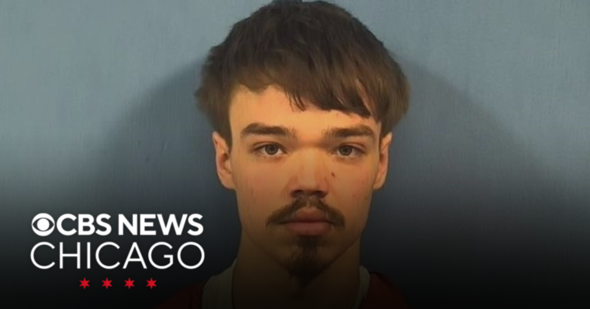 Man charged in deadly stabbing of pregnant woman back in jail - CBS Chicago