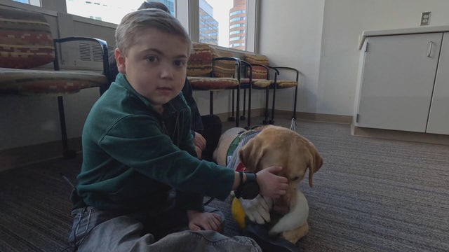 Kolin sits on the floor, playing with a dog named Nettle at CHOP 