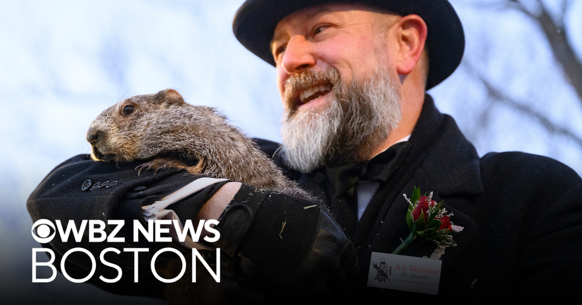 Punxsutawney Phil sees shadow, what is in store for the next 6 weeks?