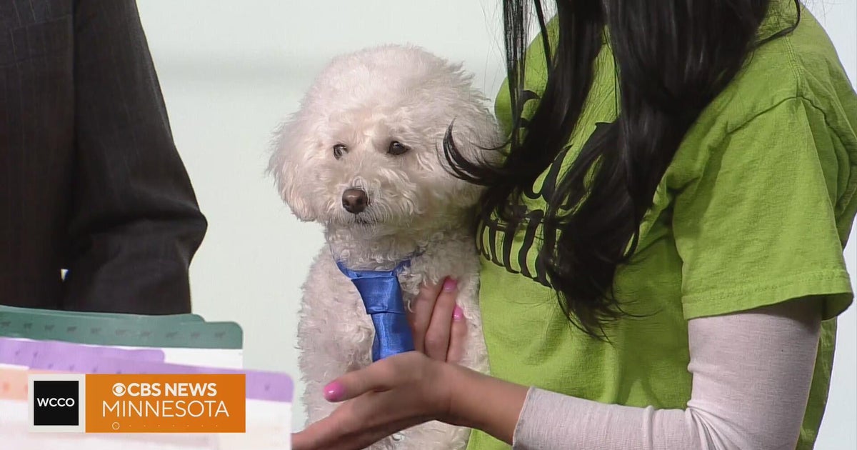 Minneapolis-based dog food company vows to provide nourishment for dogs with sensitivites