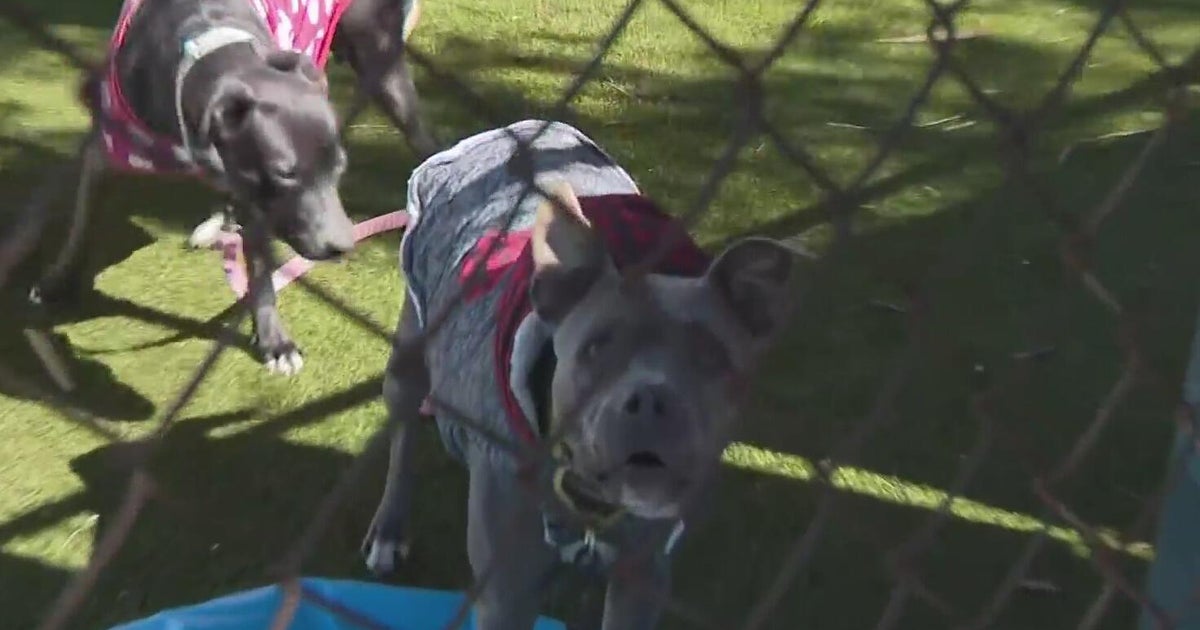 How plants and animals are kept warm during South Florida’s historic cold