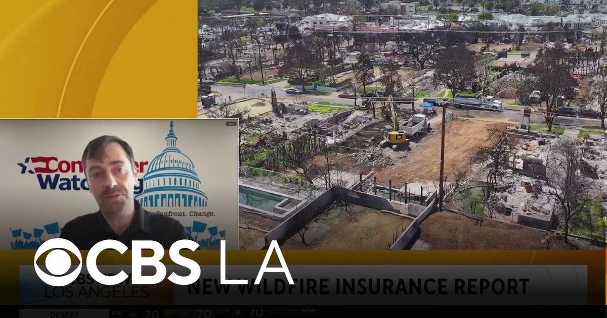 Local consumer group report investigated the insurance industry’s handling of the LA wildfires