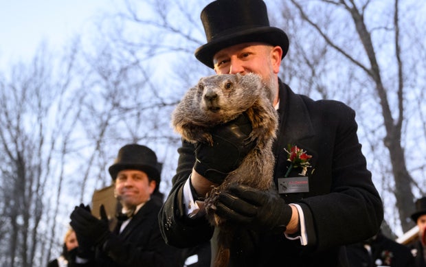 Punxsutawney Phil Looks For His Shadow On Groundhog's Day 