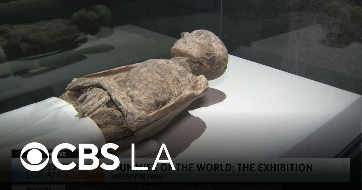 A preview of Mummies of the World: The Exhibition in Los Angeles