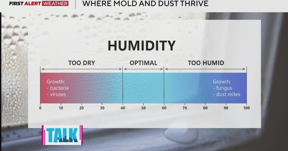What humidity level should we be aiming for inside our homes? - CBS ...