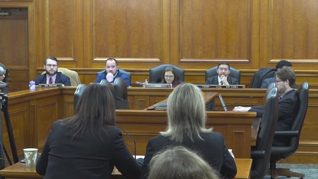 Michigan House subcommittee hears testimony on data centers 