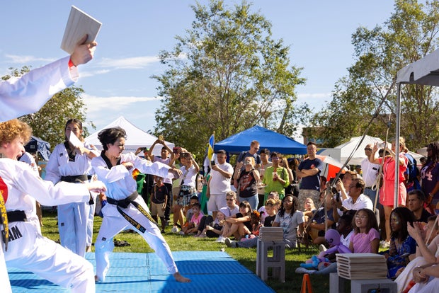 taekwondo-demonstration-at-previous-aurora-cultural-festival.jpg 