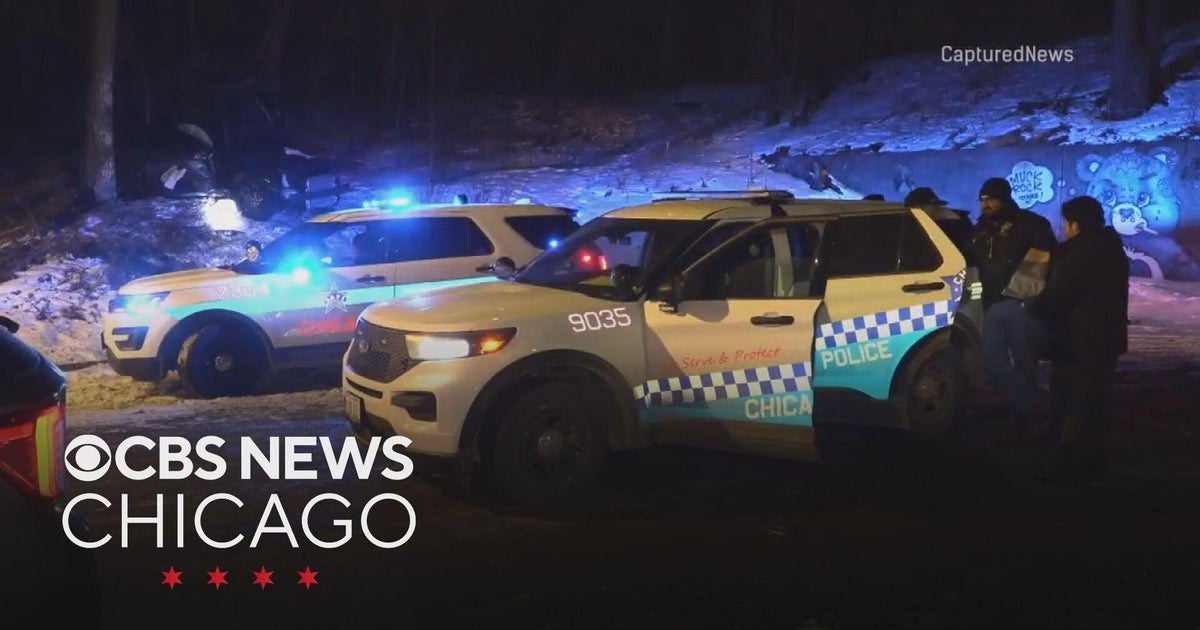 Driver critically injured after shooting, crash in Back of the Yards ...