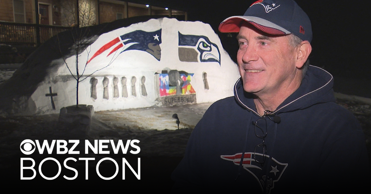 Large snow sculpture celebrates Patriots, Seahawks at "house divided" in Mattapoisett