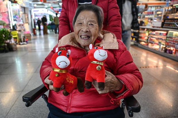 Crying Horse Toy