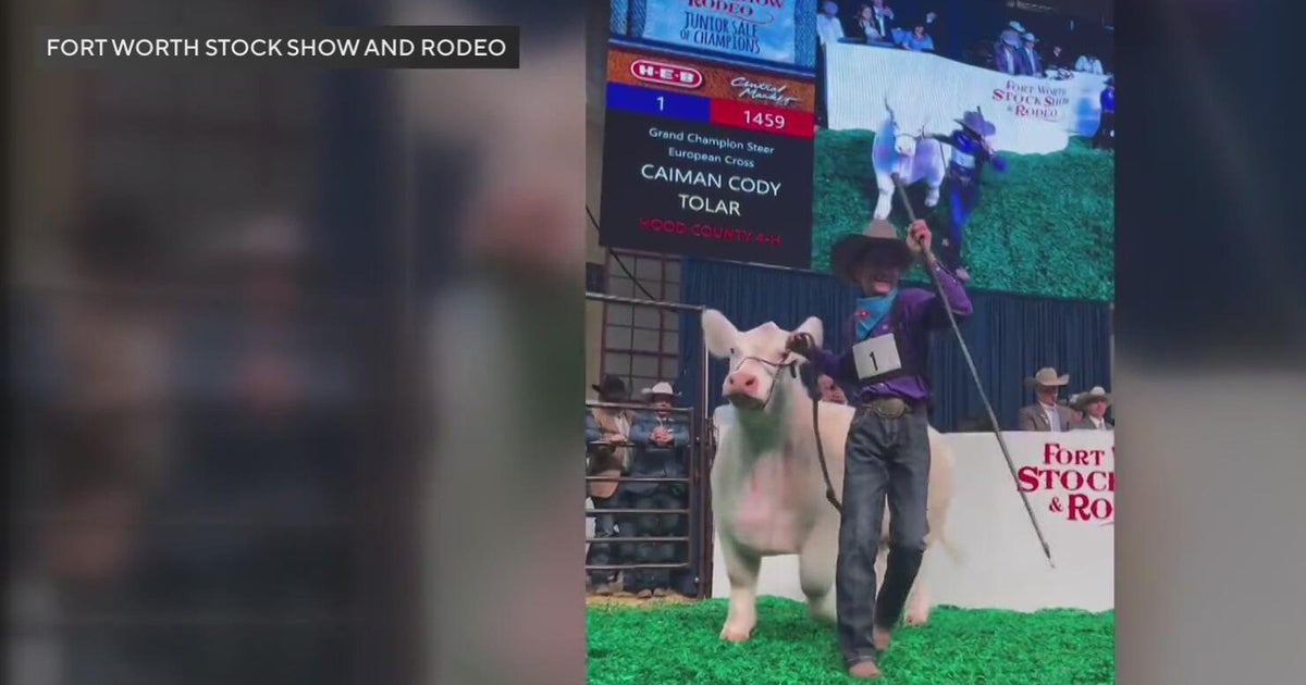 Fort Worth Stock Show ends with record $550,000 steer sale