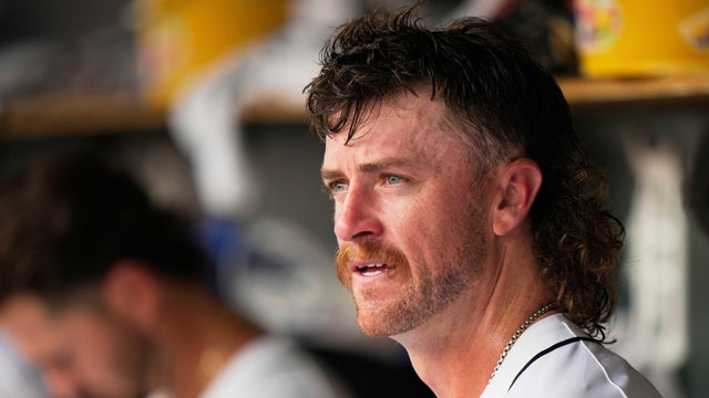 Diamondbacks Tigers Baseball 