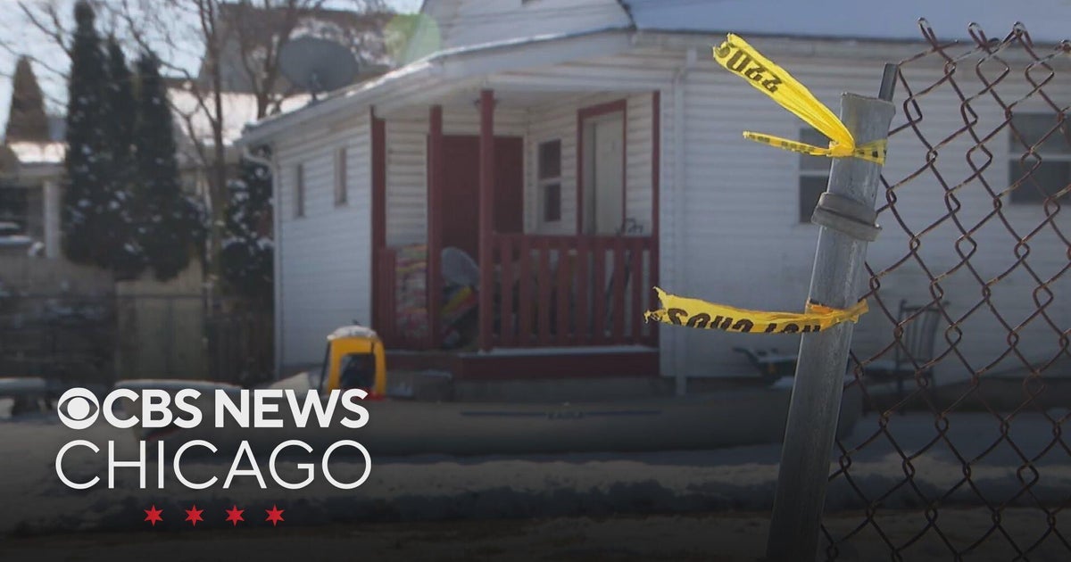 Joliet mom, 4-year-old son shot multiple times and beaten, court documents reveal