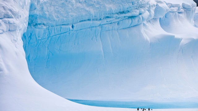 Antarctic iceberg with penguins 