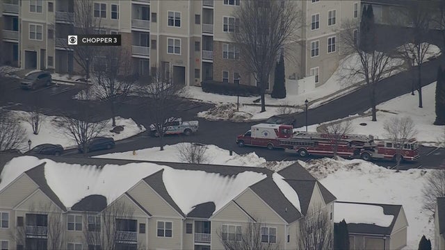 Police lights generic 