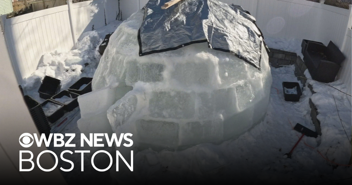 Friends create backyard igloo in South Boston