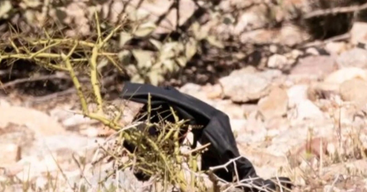 Investigators search near Nancy Guthrie's home following detained subject's release