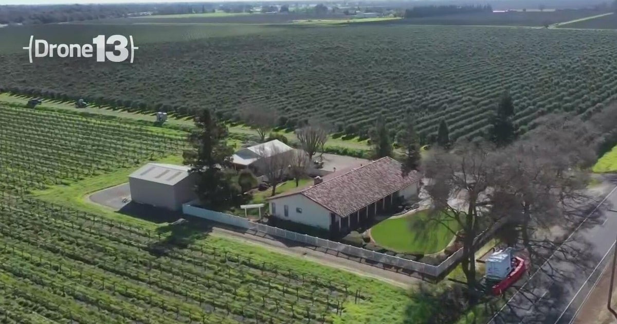 California projects additional vine removal this year, leaving Lodi grape growers concerned