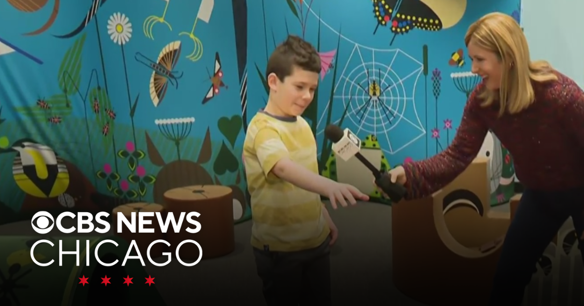 „I Am Wild: A Charley Harper Exhibit” at the Chicago Children’s Museum