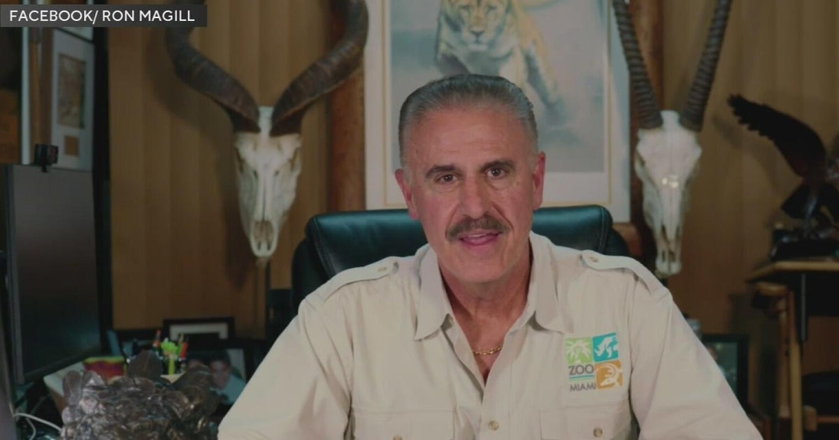 Ron Magill, face of Zoo Miami, announces retirement - CBS Miami