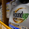 Rally Held As Supreme Court Hears Arguments For Monsanto v. Durnell 
