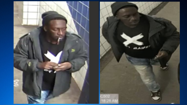 Blue Line Train Robbery Suspect 