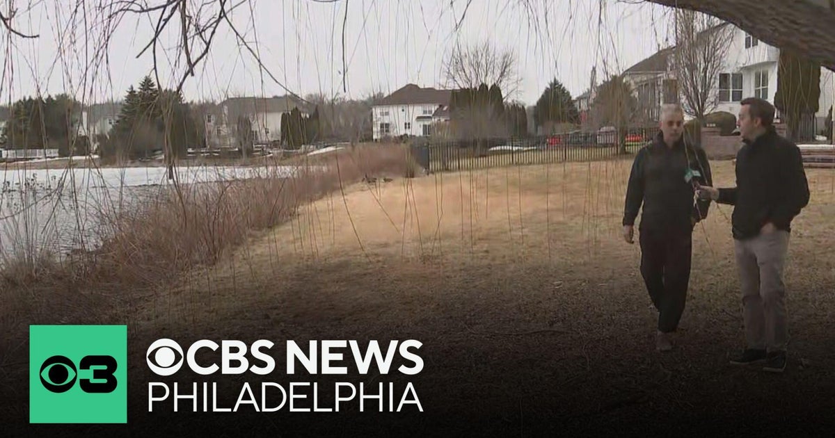 Concerns grow over suspected bird flu cases in New Jersey