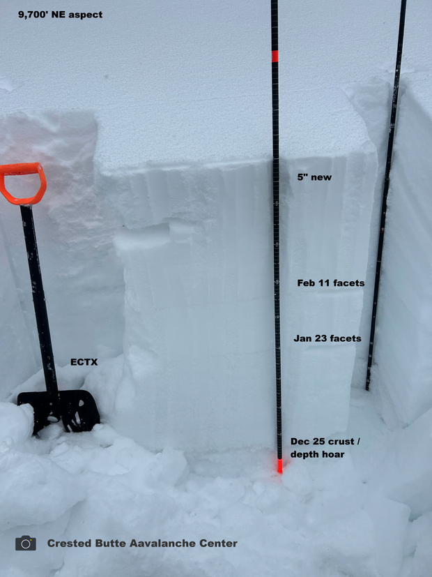 5-2-17-2026-3-prominent-weak-layers-in-the-snowpack-on-a-ne-aspect-btl-photo-cbac.png 