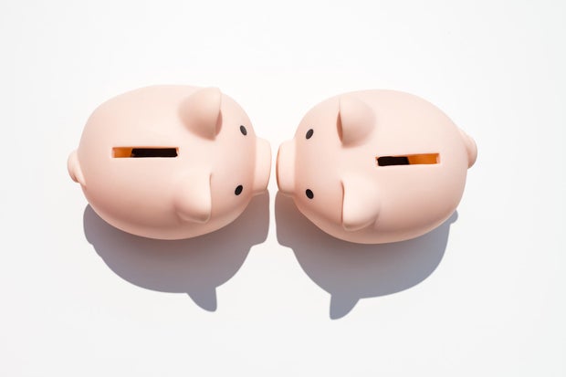 Couple and Family Finances, Two Piggy Banks on white 