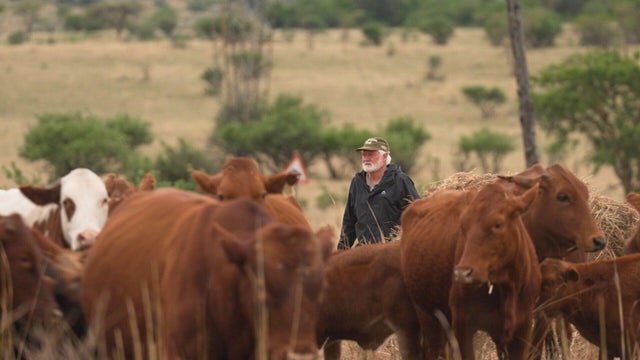 South Africa farm 