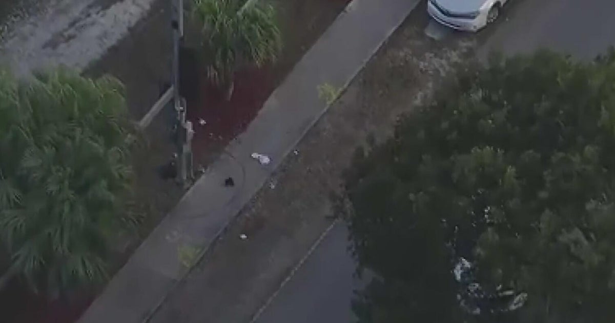 Teenagers arrested in connection to Miami-Dade drive-by shooting that ...