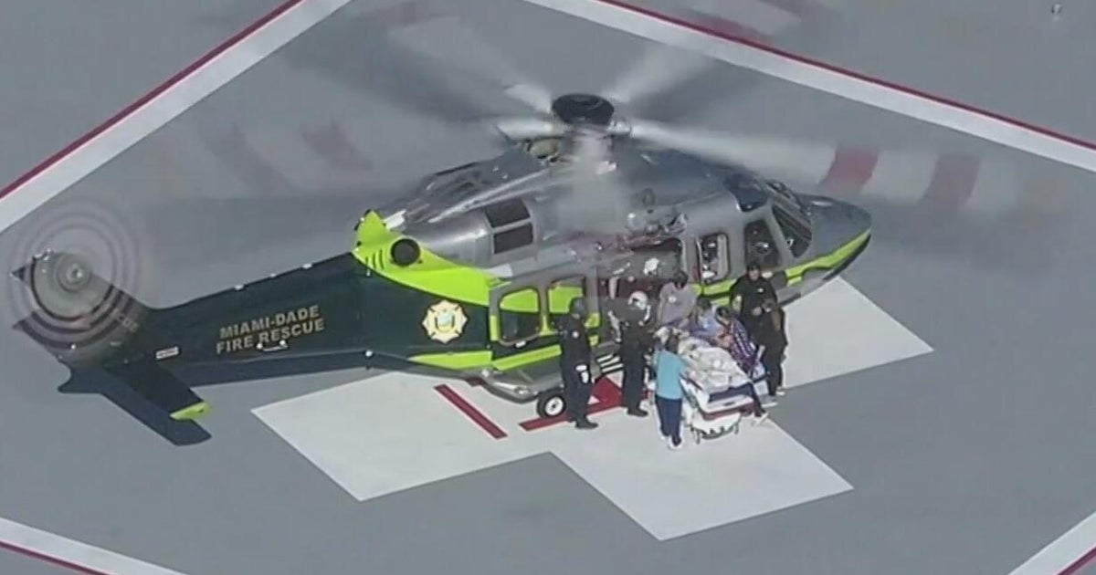 14-month-old boy hospitalized after being attacked by family dog in Hallandale Beach