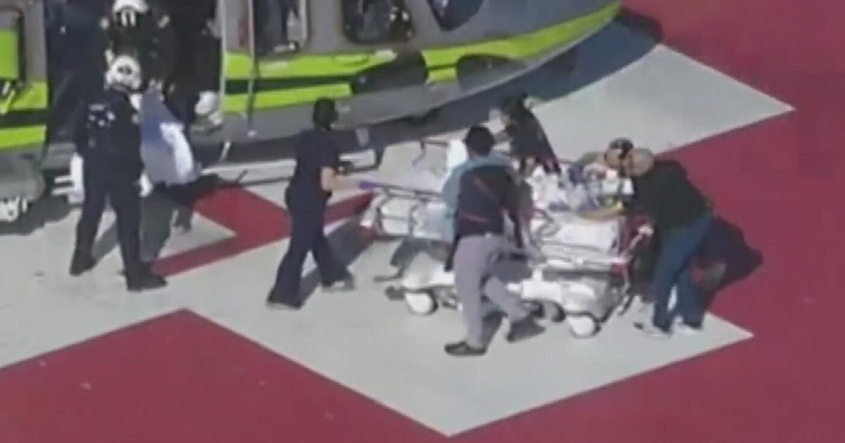 Broward County officials euthanize dog involved in an attack that hospitalized a 14-month-old