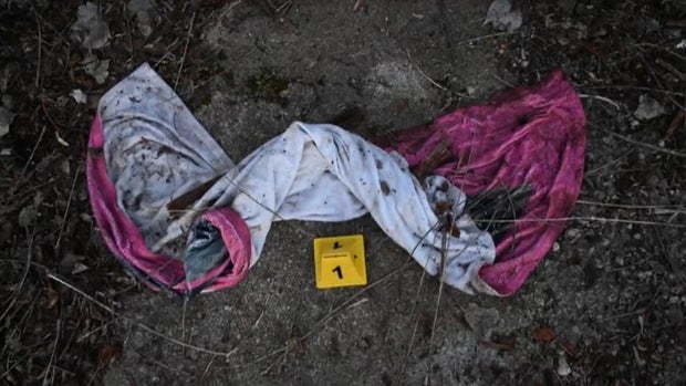 Sade Robinson evidence