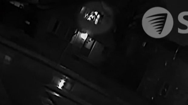 Sade Robinson investigation