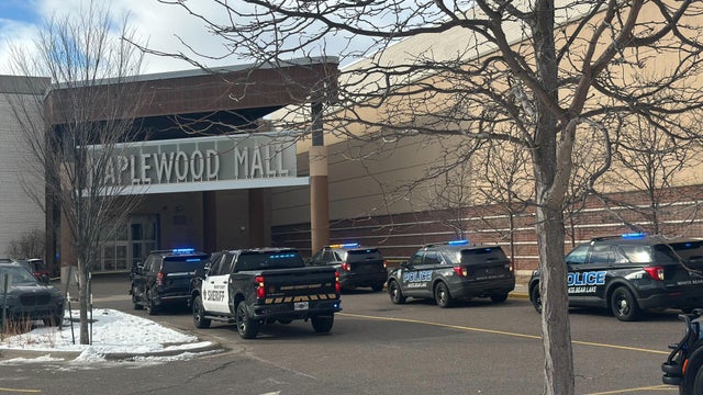 Police patrol car with sirens off during a traffic control. Blue and red flashing sirens of police car during the roadblock in the city. 