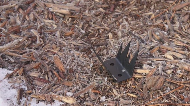 Police investigating after dozens of spikes found at Lapeer playgrounds 