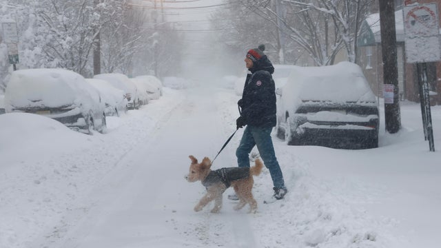 Snowstorm in Hoboken, New Jersey 